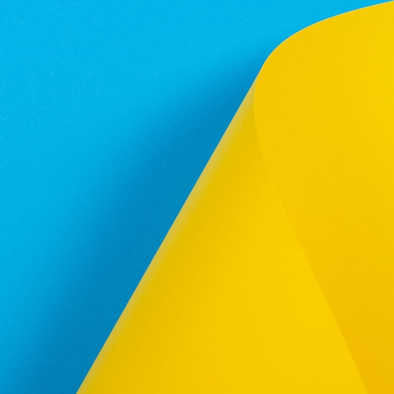 Impact Insight | Culture matters. Especially now. Here’s how to get the culture you want.