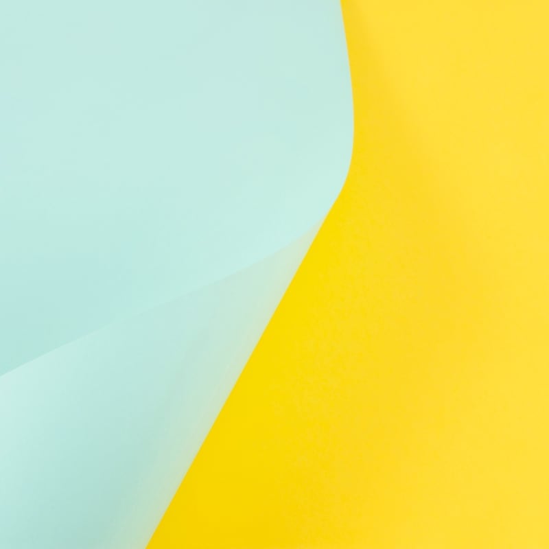 Impact Insight | Your company culture is a two way street