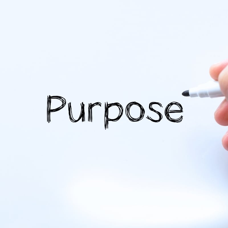 Impact Insight | Finding your purpose